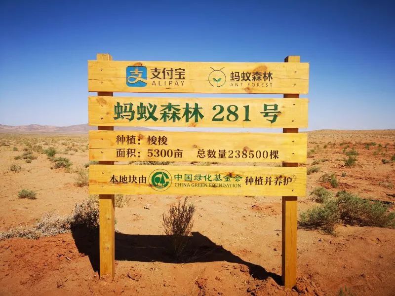 有了个人碳账户，你更愿意低碳生活吗？