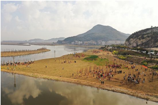 【温岭市自然资源和规划局】植树添绿 助力碳中和