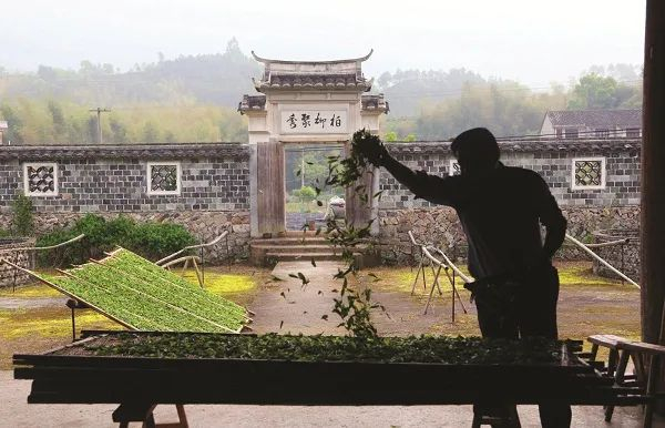 农业碳汇撬动绿色经济